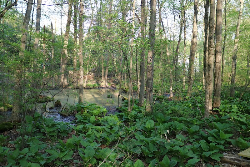 GreenLink Connector Trail (NCLT) photo 2