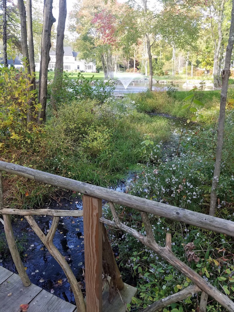 GreenLink Connector Trail (NCLT) photo 4