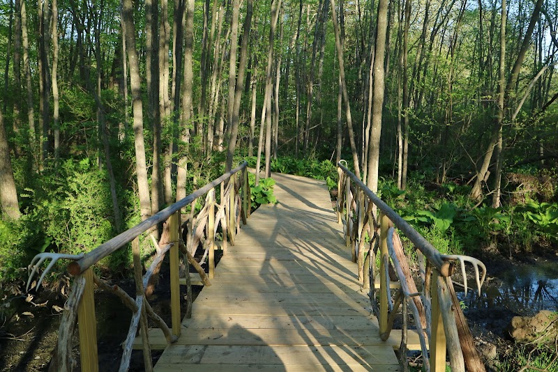 GreenLink Connector Trail (NCLT) photo 5