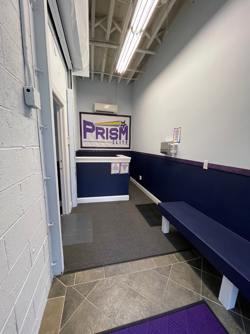 Prism Elite New York photo 3
