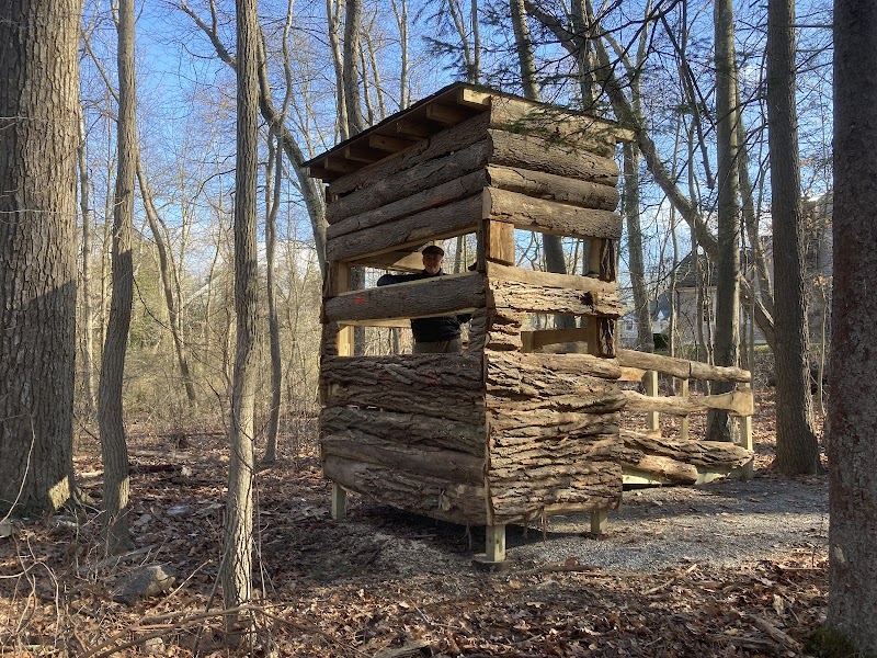 Bristow Sanctuary & Wildwood Preserve photo 3