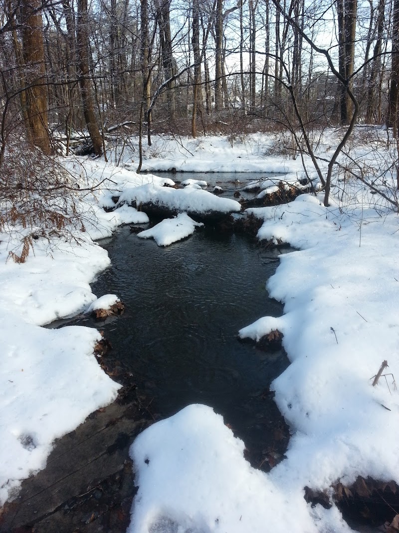 Bristow Sanctuary & Wildwood Preserve photo 5