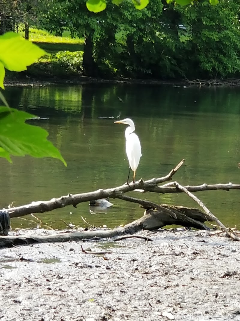 Bronx River Park photo 5