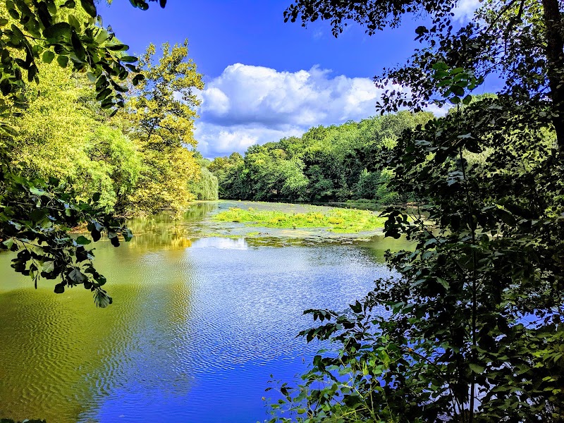 Bronx River Pathway photo 3