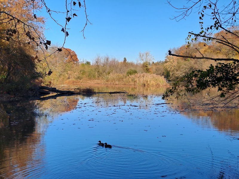 Bronx River Pathway photo 5