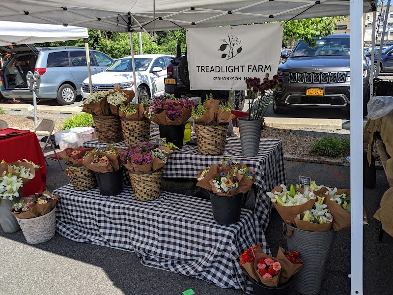 Bronxville Saturday Farmer's Market photo 3
