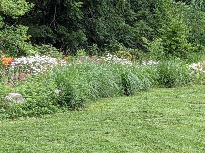 Bronxville Dog Park photo 3