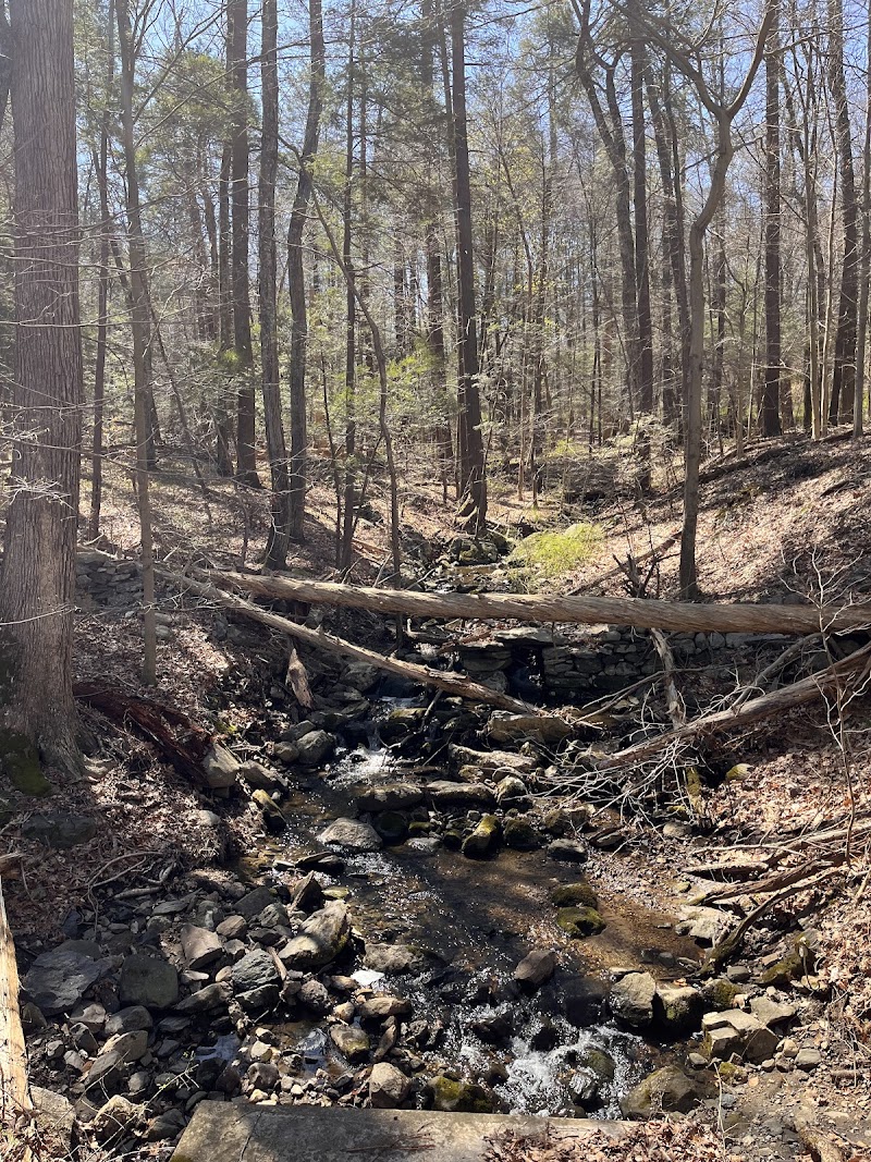 Cross River Outlet Recreation Area photo 3