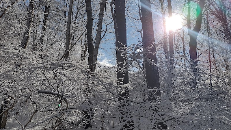 Cross River Outlet Recreation Area photo 4