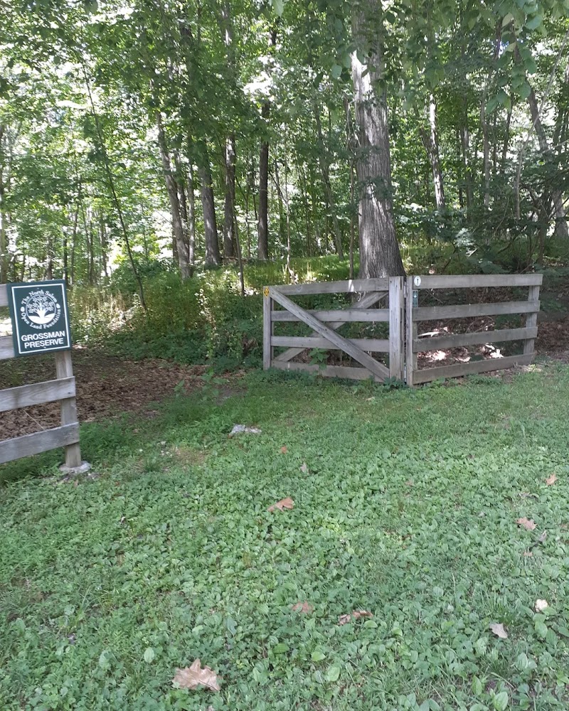 Grossman Preserve photo 2