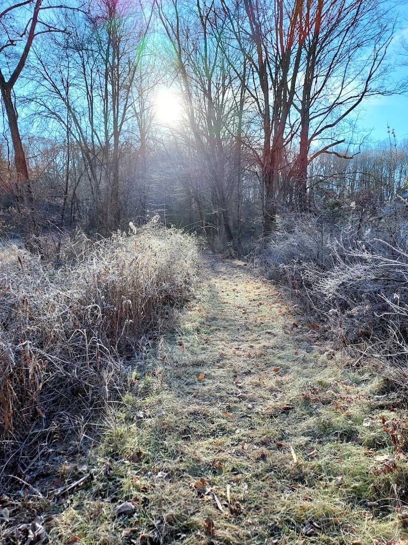 Grossman Preserve photo 3