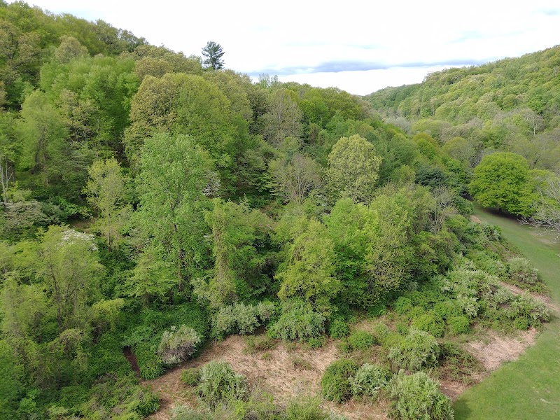 Croton Gorge Trail photo 5