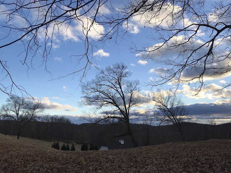 Brownell Preserve photo 2
