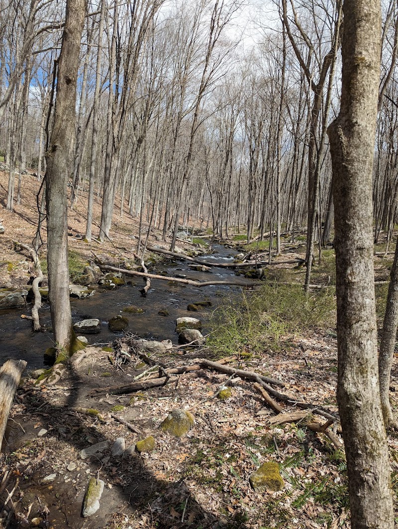 Brownell Preserve photo 3