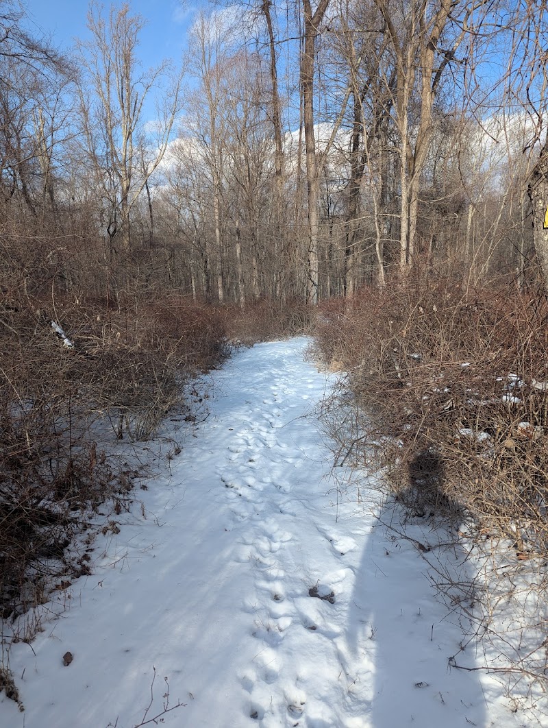 Brownell Preserve photo 5