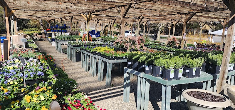 Troy's Garden Nurseries photo 3