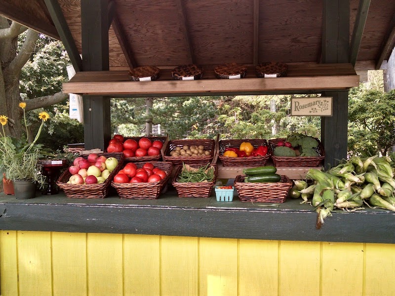 Troy's Garden Nurseries photo 5