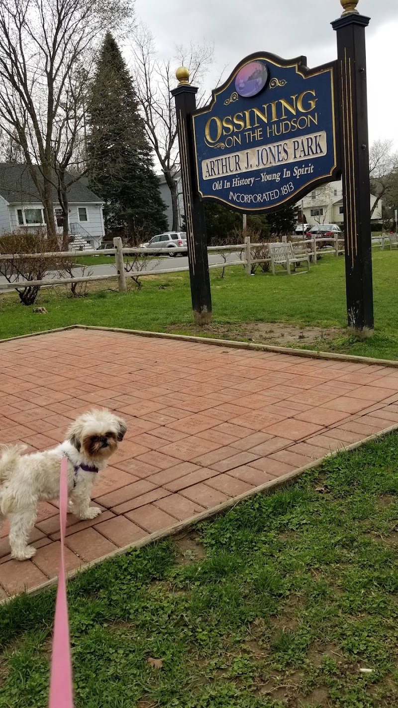 Arthur J. Jones Park photo 3