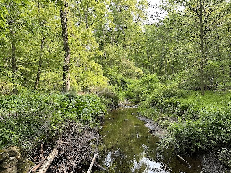 GLTrust Converse Brook Preserve photo 4