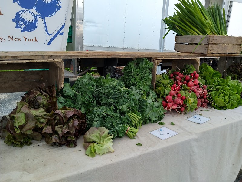 Irvington Farmers Market photo 5