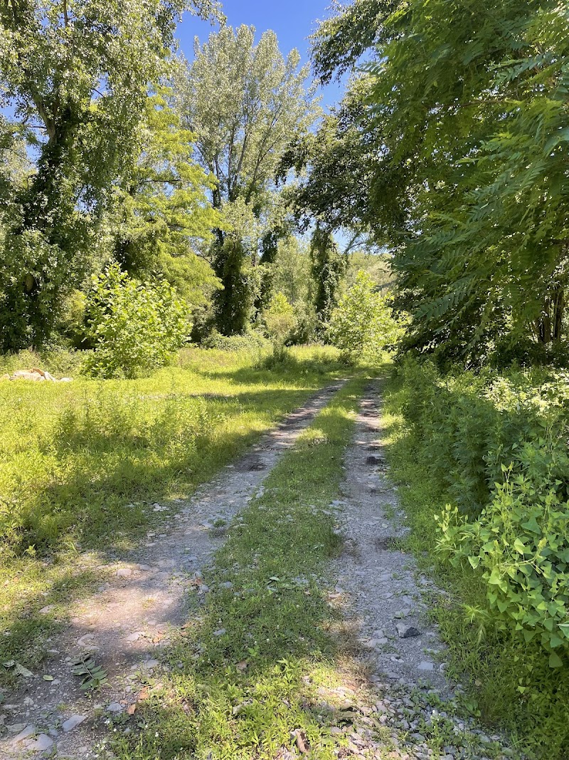 RHINOCEROS CREEK RESERVATION photo 2