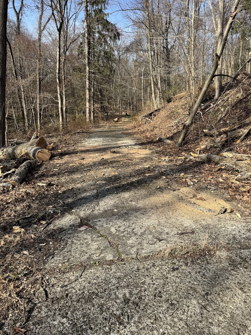 Ossining Recreation & Parks photo 5