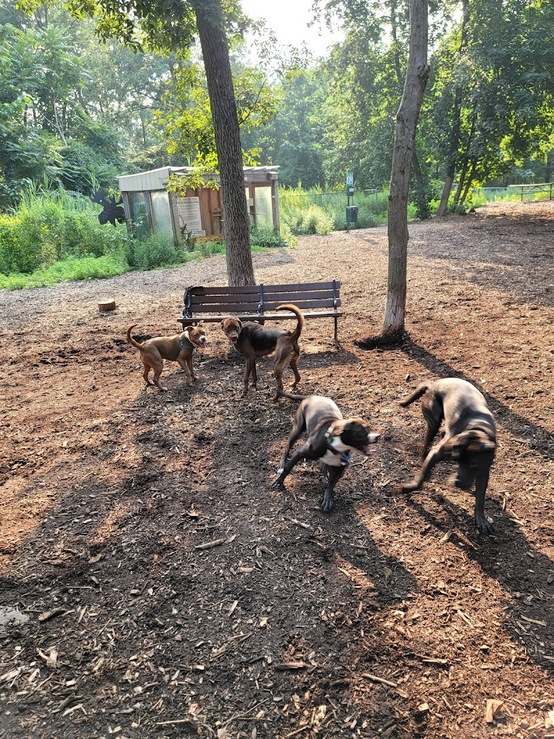 Ossining Dog Park photo 3