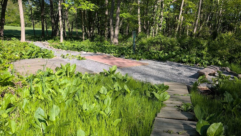 FDR State Park Disc Golf Course photo 5