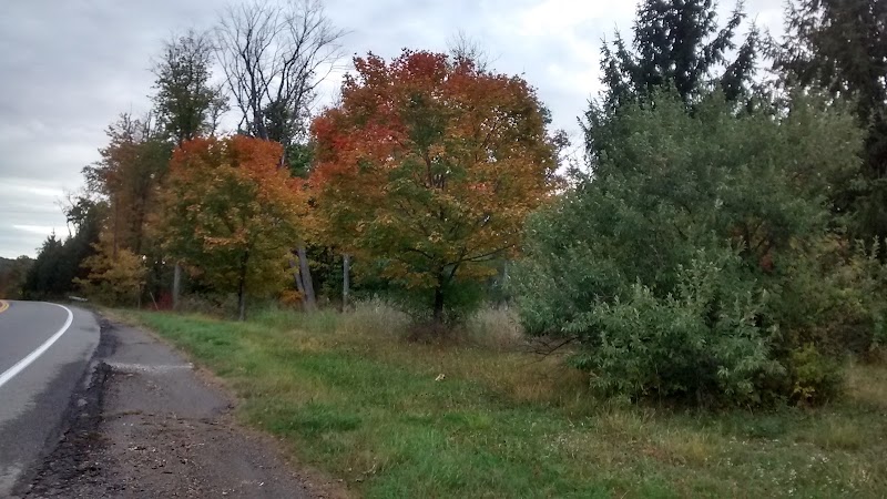 Staysail Farm LLC photo 3