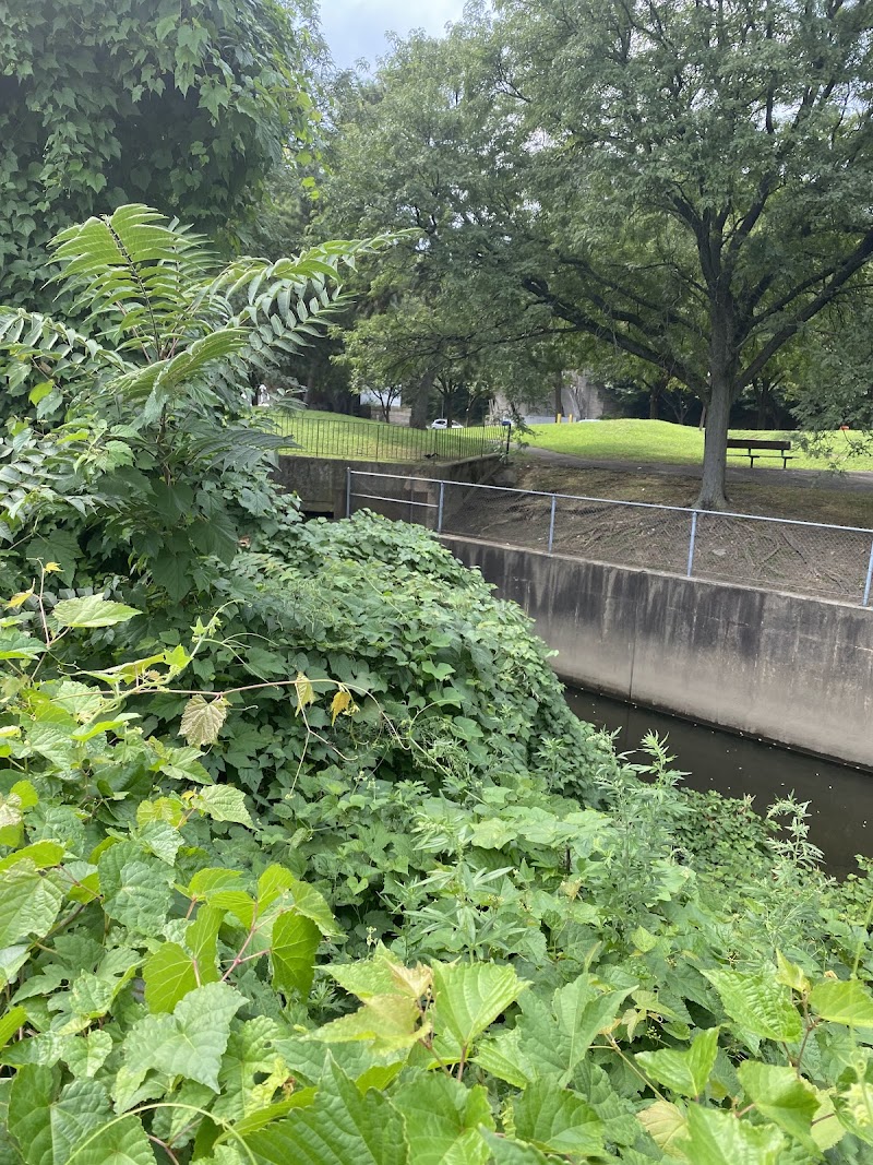 Stefanik Park photo 4
