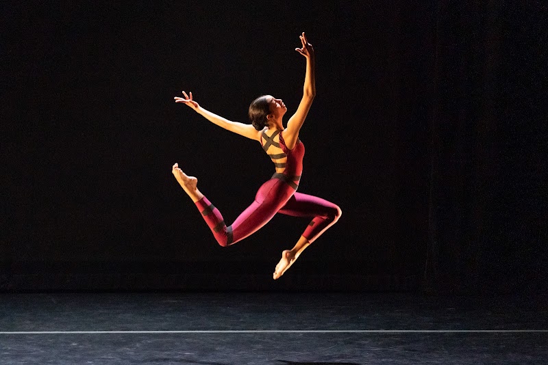 Steffi Nossen School of Dance & Center for Movement photo 4