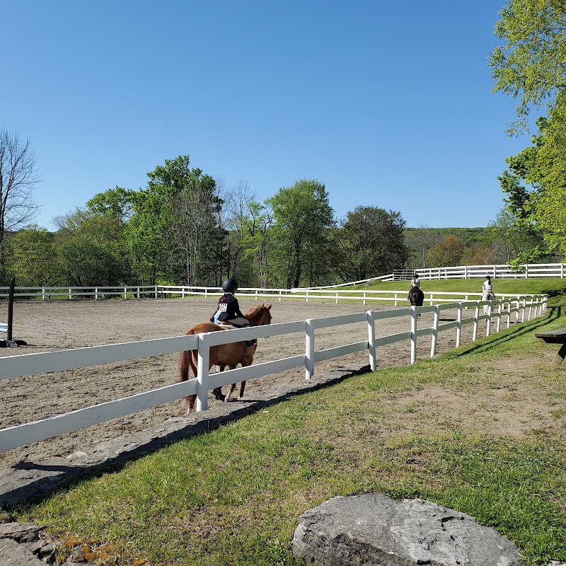 Stepping Stone Farm photo 2