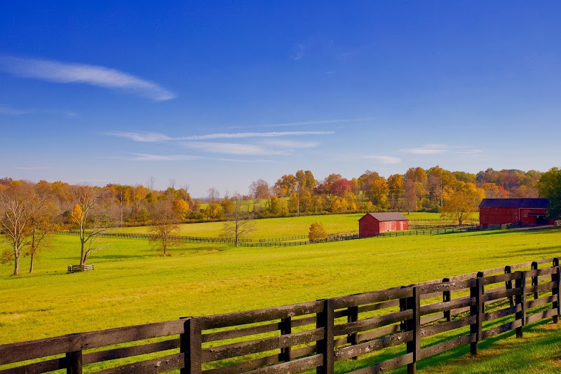 Stonewall Farm photo 2