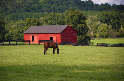 Stonewall Farm photo 4