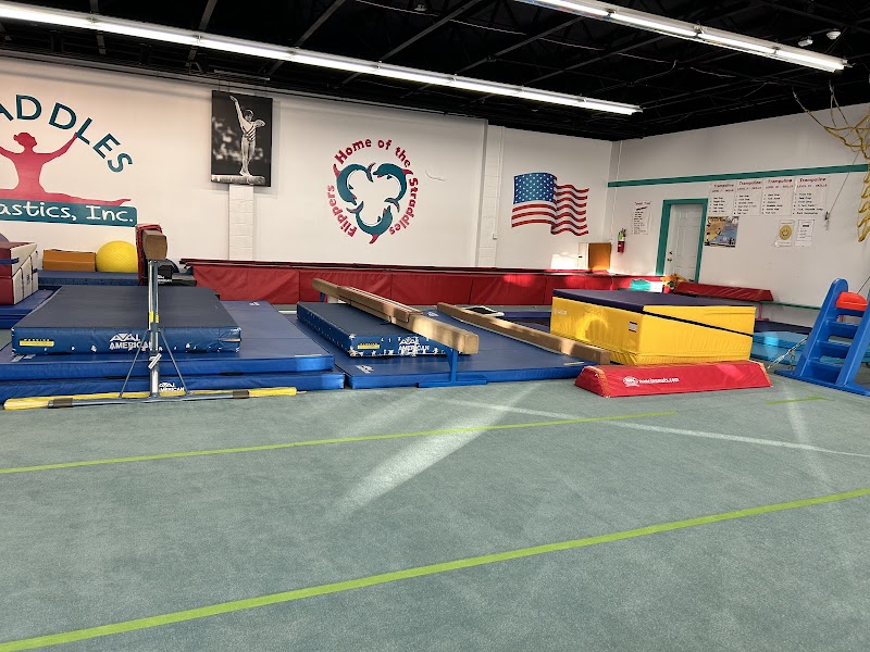 Straddles Gymnastics, Inc photo 2