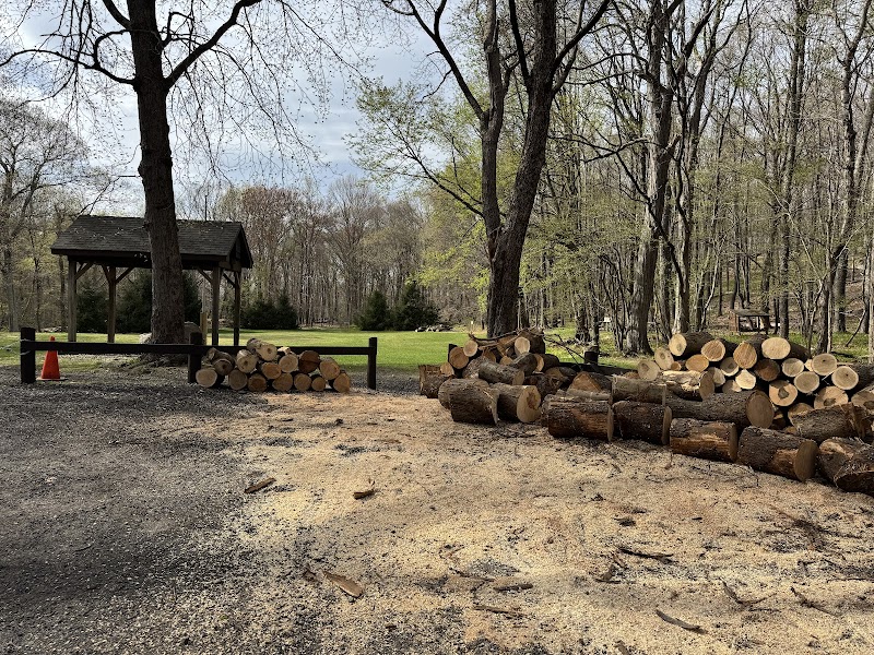 Sturges Park photo 2