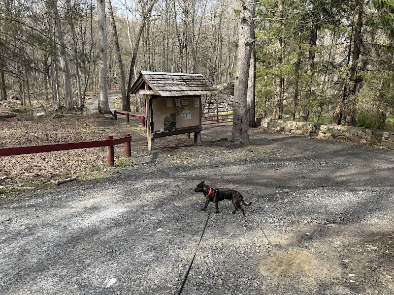Sturges Park photo 3