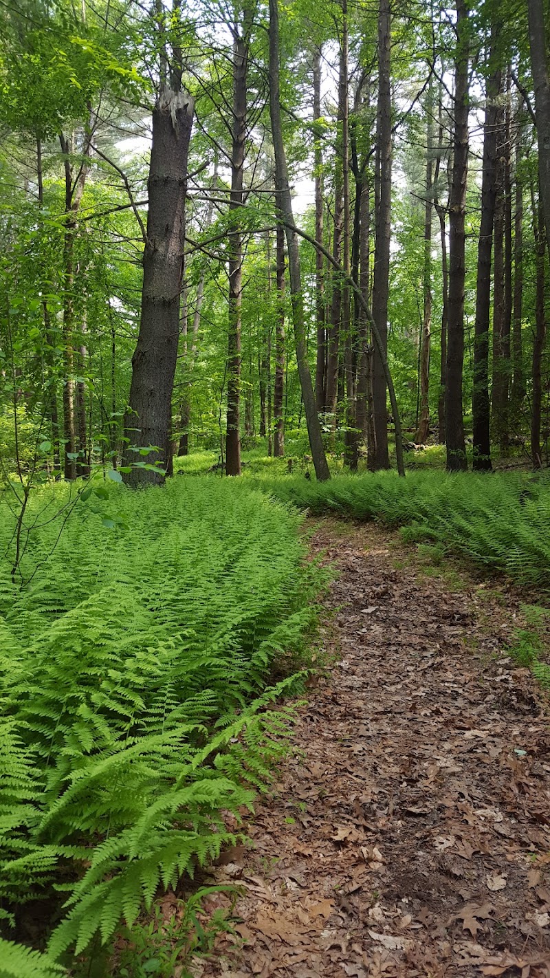 Guard Hill Preserve photo 3