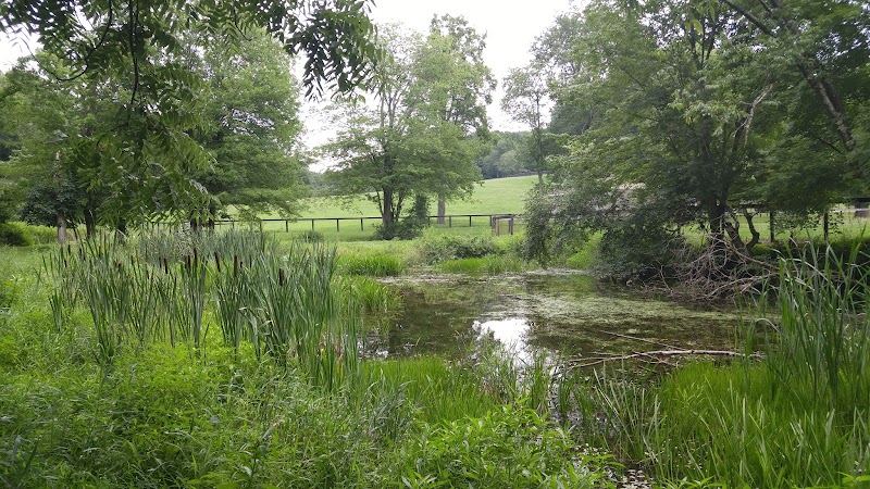 Guard Hill Preserve photo 2