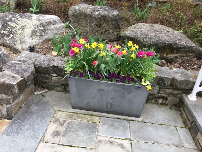 Lucente Nursery (Formerly Liebs Nursery) photo 2