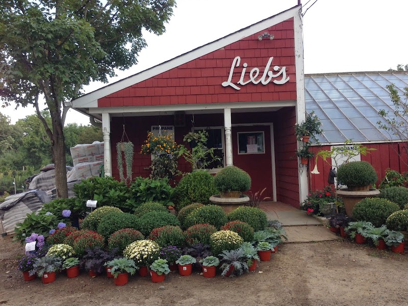 Lucente Nursery (Formerly Liebs Nursery) photo 3