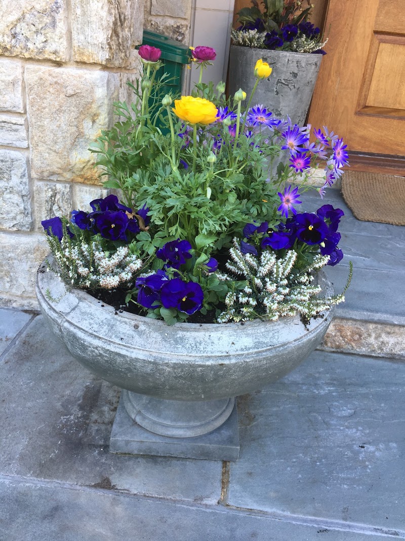 Lucente Nursery (Formerly Liebs Nursery) photo 4