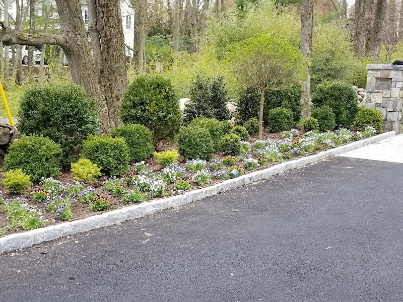 Bucks's Flower Garden photo 2