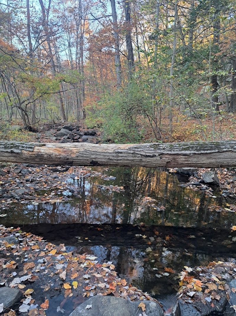 Hudson Highlands Gateway Park Overlook Pond Trailhead photo 3