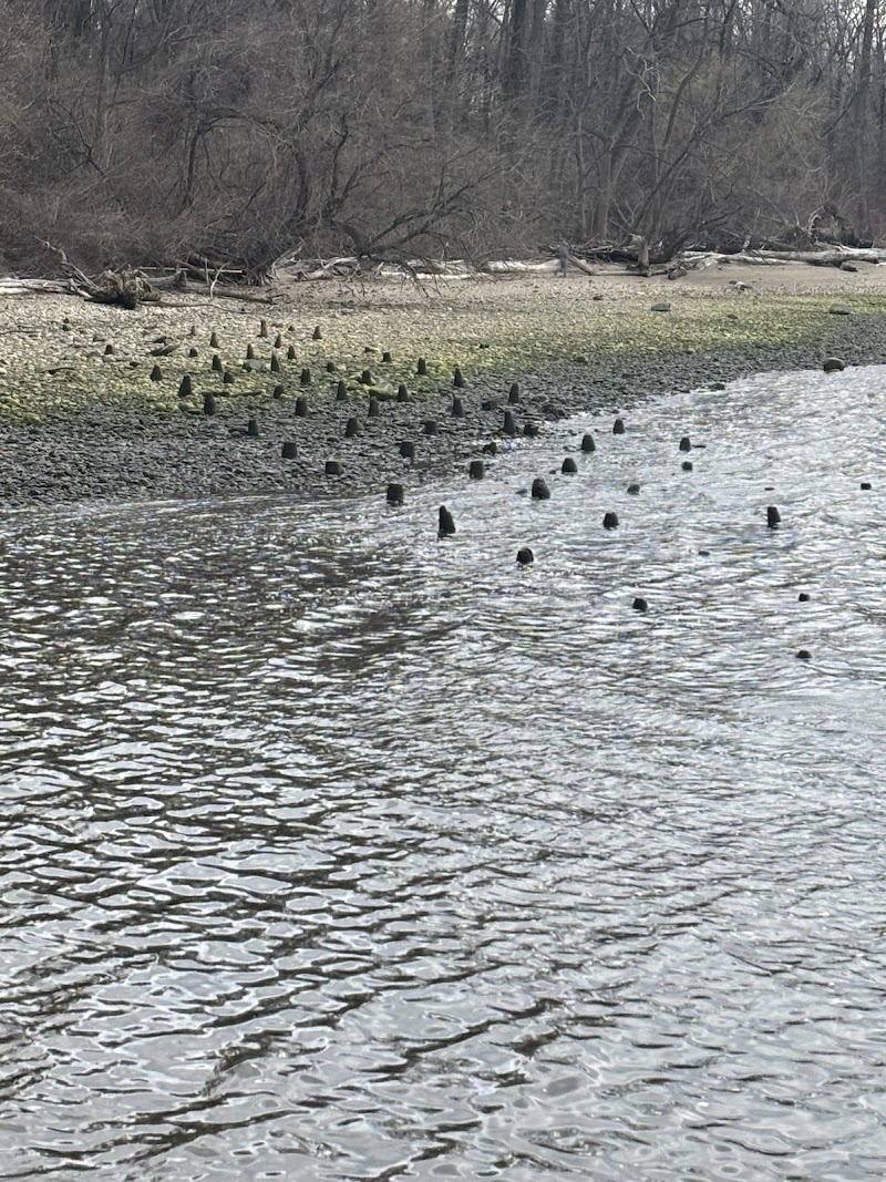 Hudson River Recreation - Croton Point Park photo 5