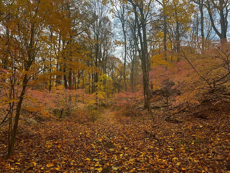 Audubon Fairchild Garden photo 4