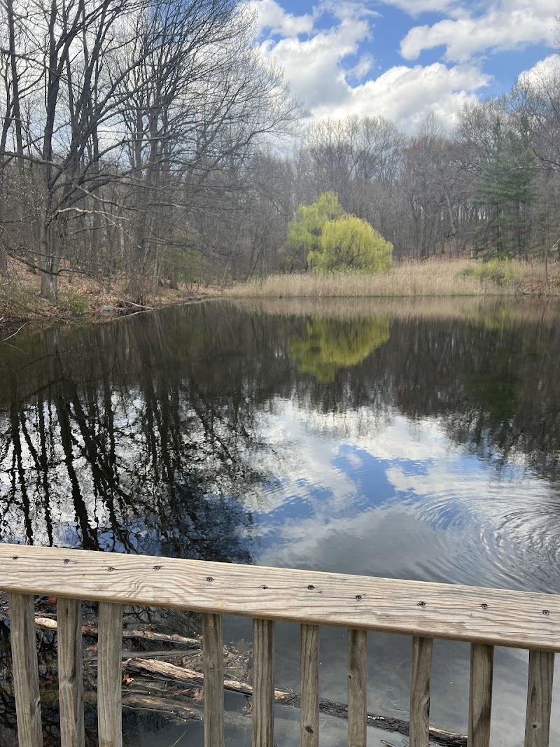 Sugar Pond photo 1