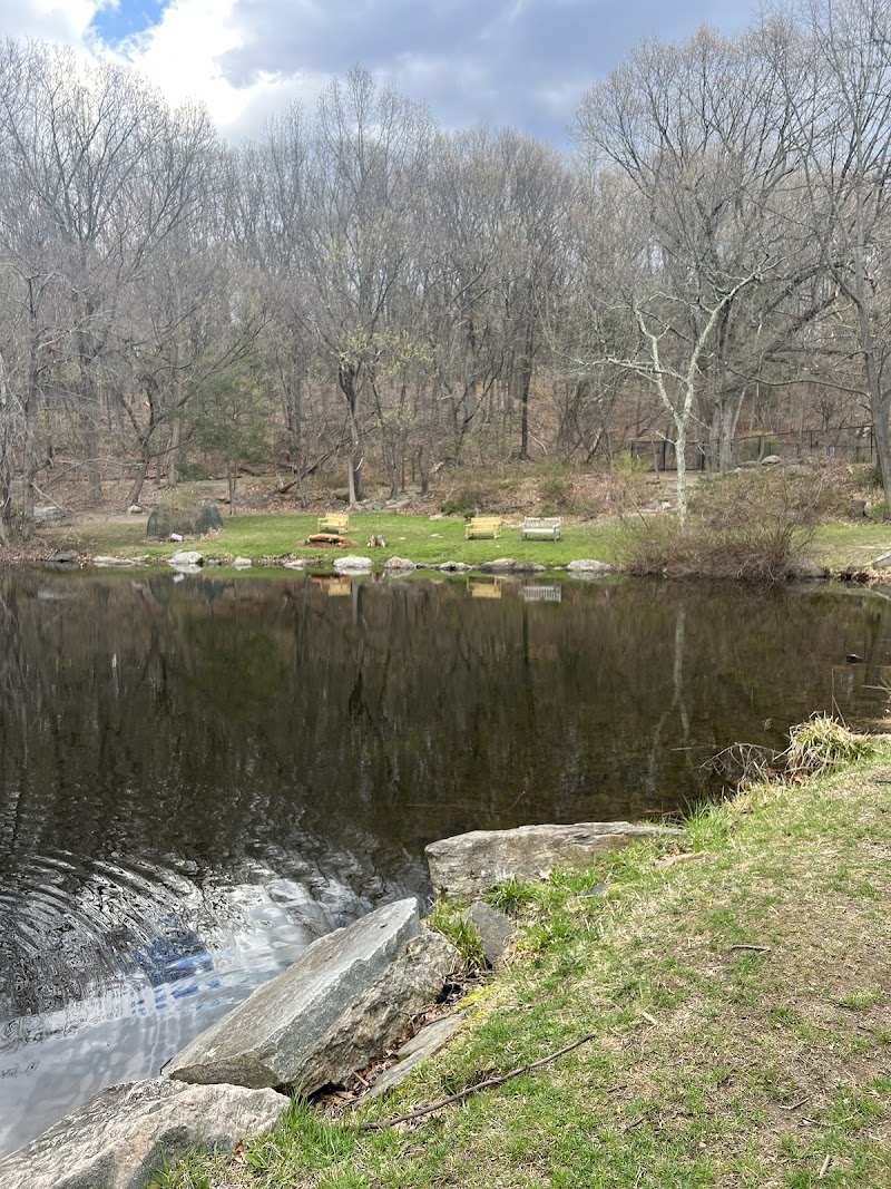 Sugar Pond photo 2