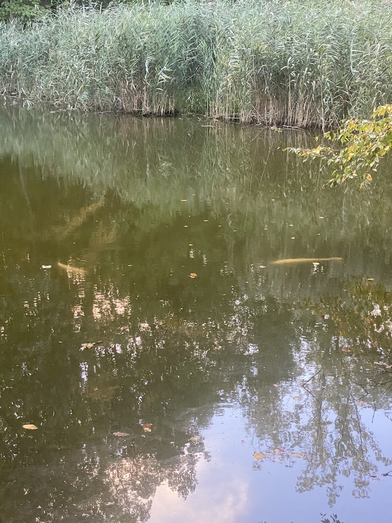Sugar Pond photo 4