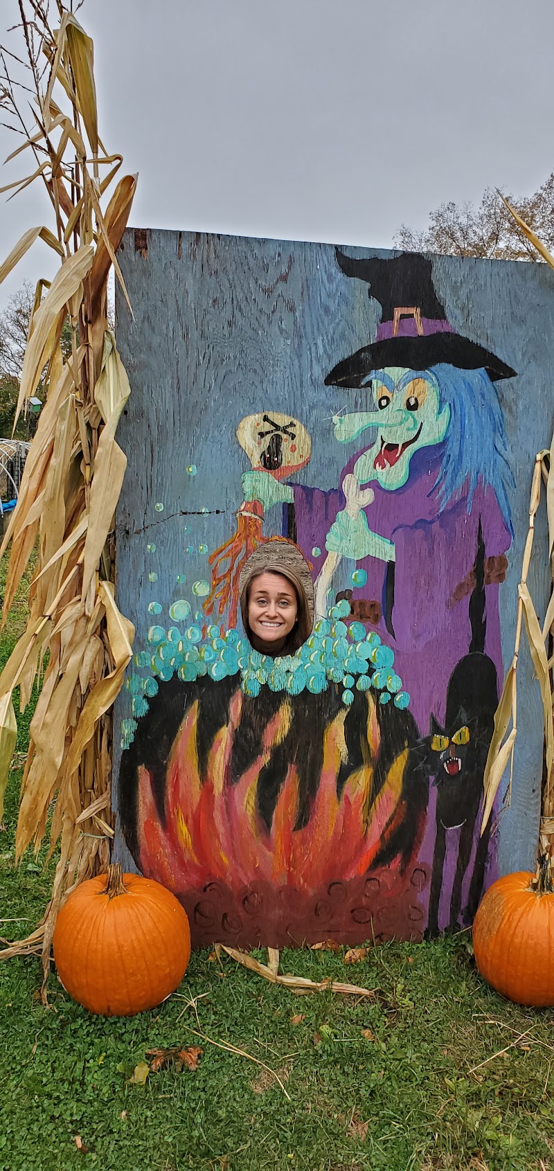 Augustine's Farm photo 2